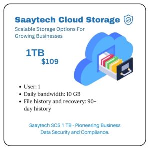 Saaytech Cloud Storage (SCS 1 TB) - Data Security and Compliance Solution